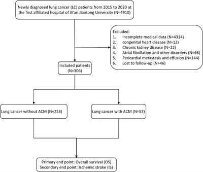 Atrial Cardiomyopathy Predicts Worse Outcome in Patients With Lung Cancer